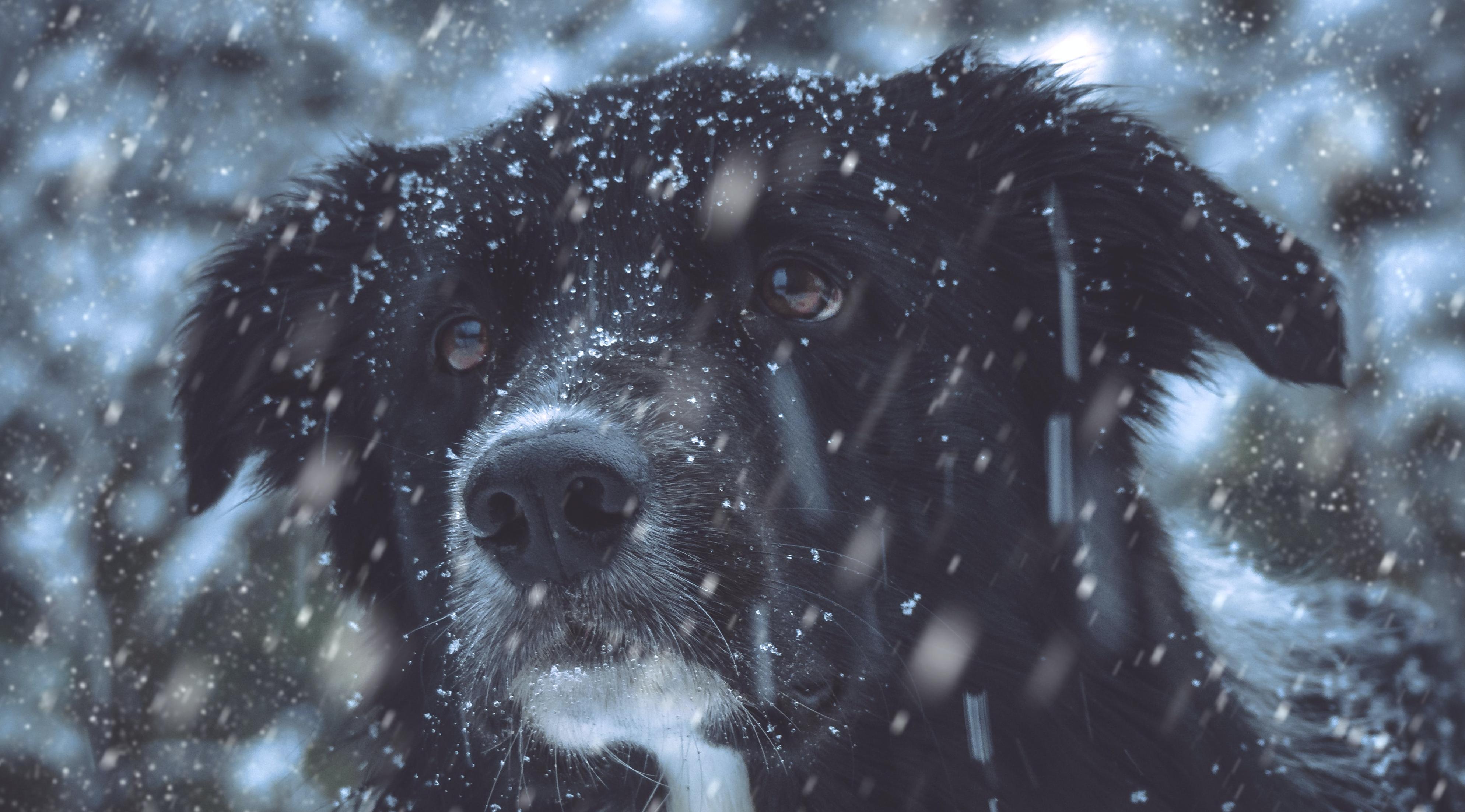 Львов будут критиковать, а Весам нельзя делиться секретами: гороскоп на воскресенье