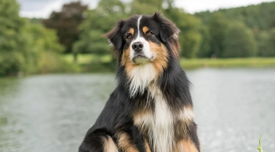 Раки могут наговорить лишнего, а Водолеи найдут прибыльную идею: гороскоп на вторник