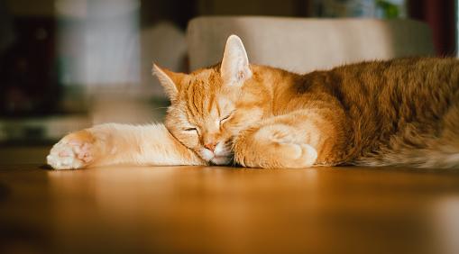 Девы займутся манипуляциями, а Весы увлекутся идеями: гороскоп на выходные 