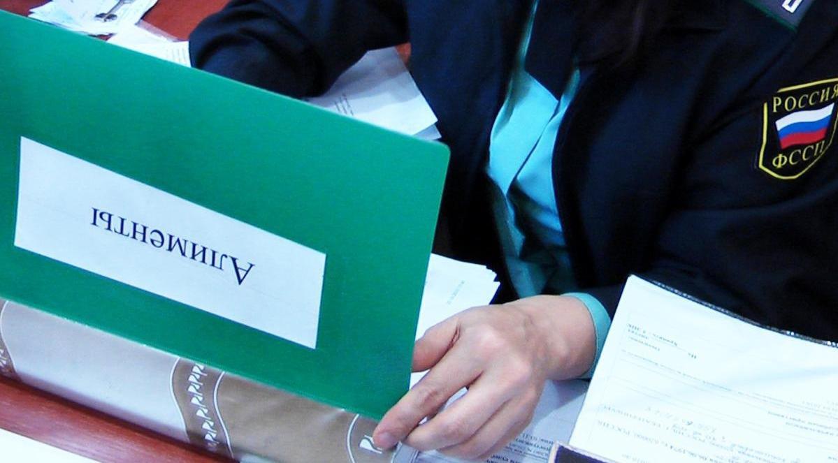 Чепчанина накажут за долг по алиментам в 123 тысячи рублей
