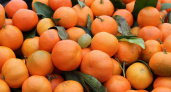 В завезенных в Россию турецких мандаринах обнаружили опасное вещество
