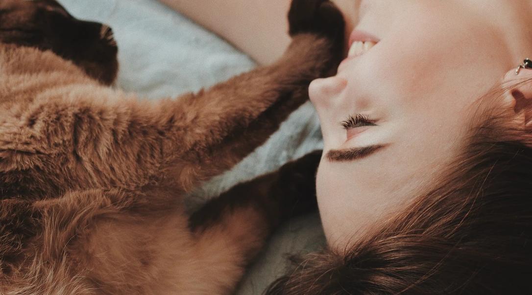 Львам стоит умерить пыл, а Тельцов ждут неприятности: гороскоп на вторник