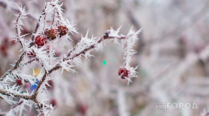 В Кировской области прогнозируют 50-градусные морозы