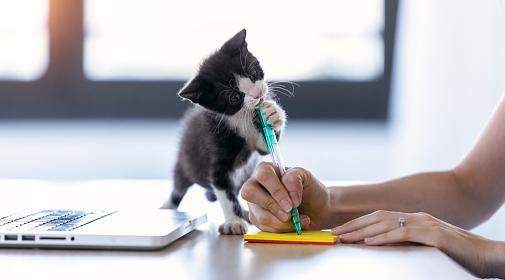 Девам понадобится отпуск, а Близнецам - помощь специалиста: гороскоп на среду