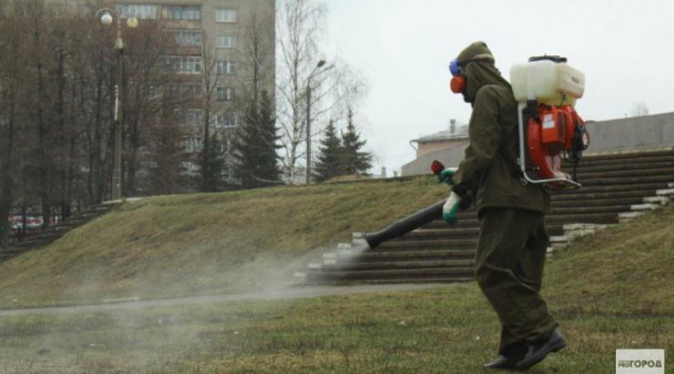 В Кирово-Чепецке идет обработка территорий от клещей
