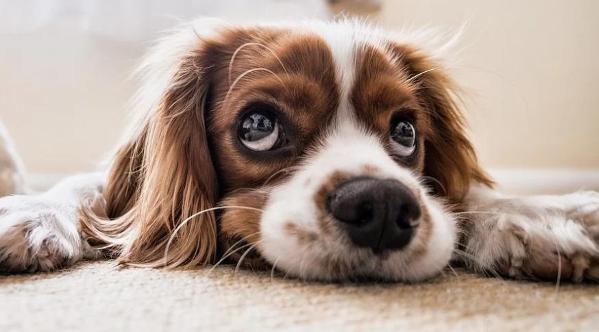 Раков ждет бурный роман, а Тельцов обучение: гороскоп на неделю