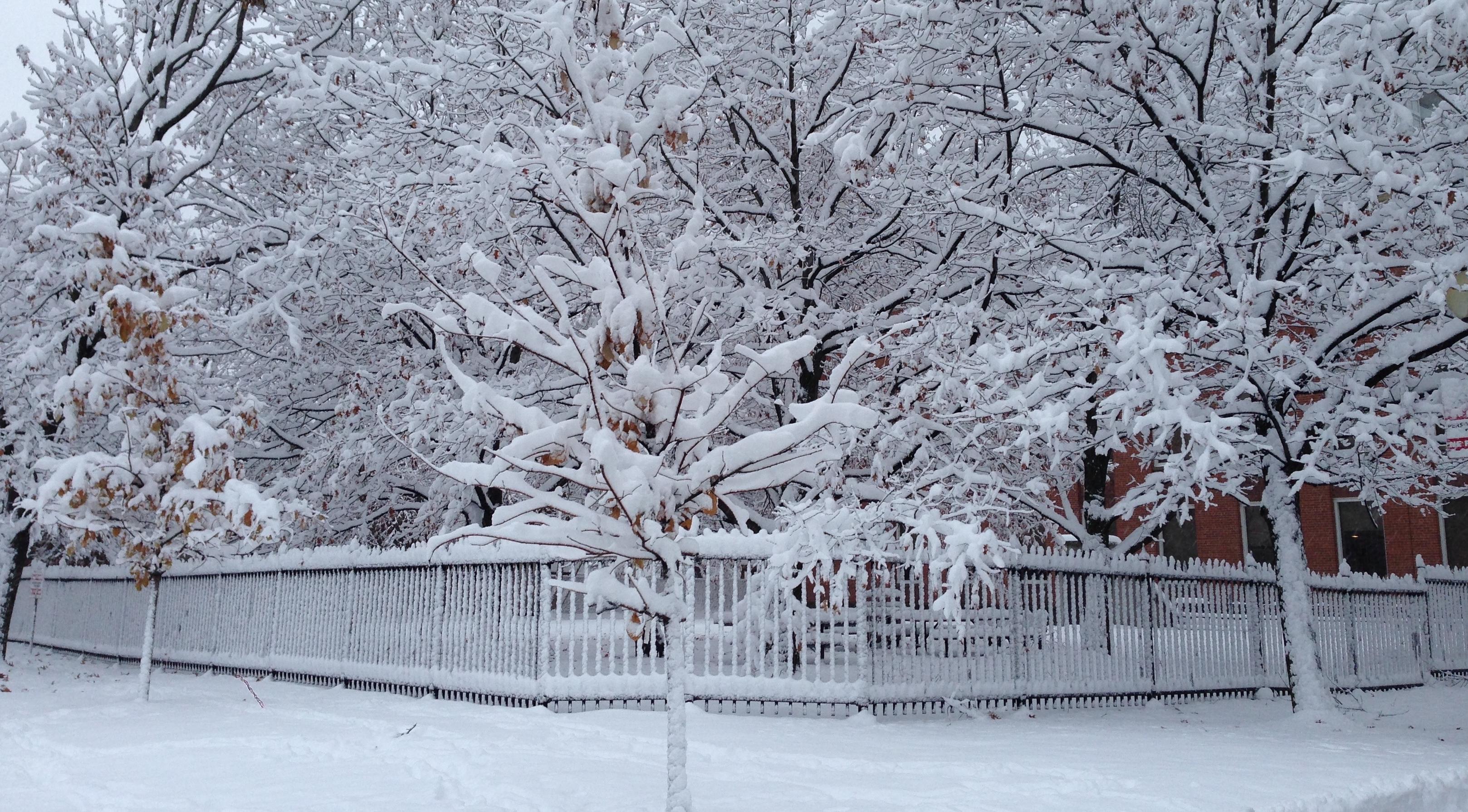 Резкое потепление: какая погода ждет Кирово-Чепецк на неделе?