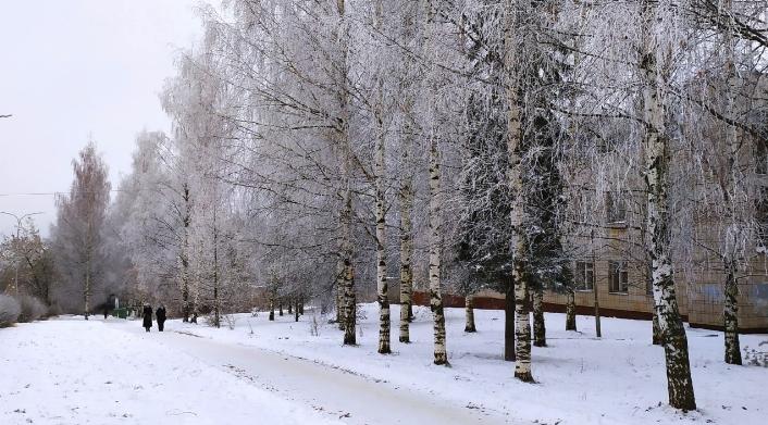 Похолодание до -26 и сильный ветер: прогноз погоды в Кирово-Чепецке на неделю