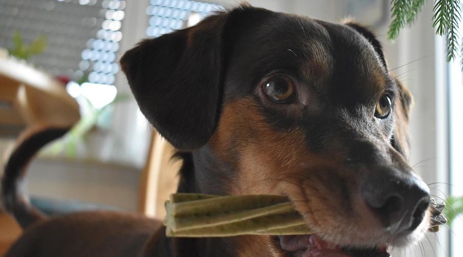 Рыбы перейдут на ЗОЖ, а Девы получат неожиданную прибыль: гороскоп на воскресенье