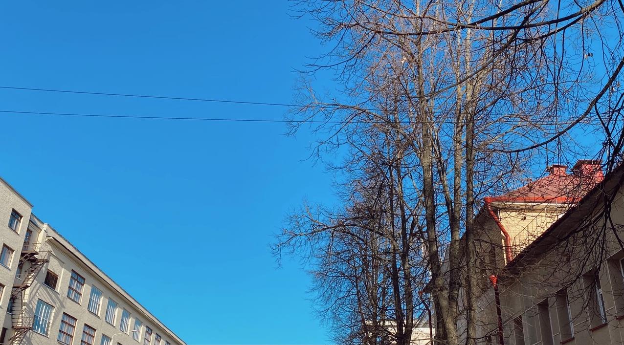 В Чепецке наступит 20-градусное тепло: подробный прогноз погоды на неделю 