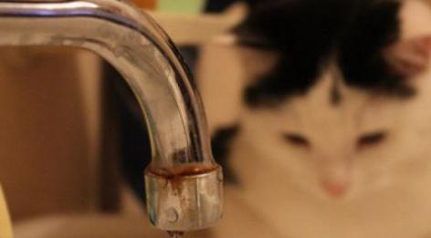 В Кирово-Чепецке в домах некоторых жителей не будет горячей воды два дня