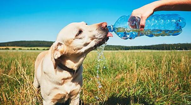 Тельцы потеряют голову, а Рыбы найдут смысл жизни: гороскоп на четверг 