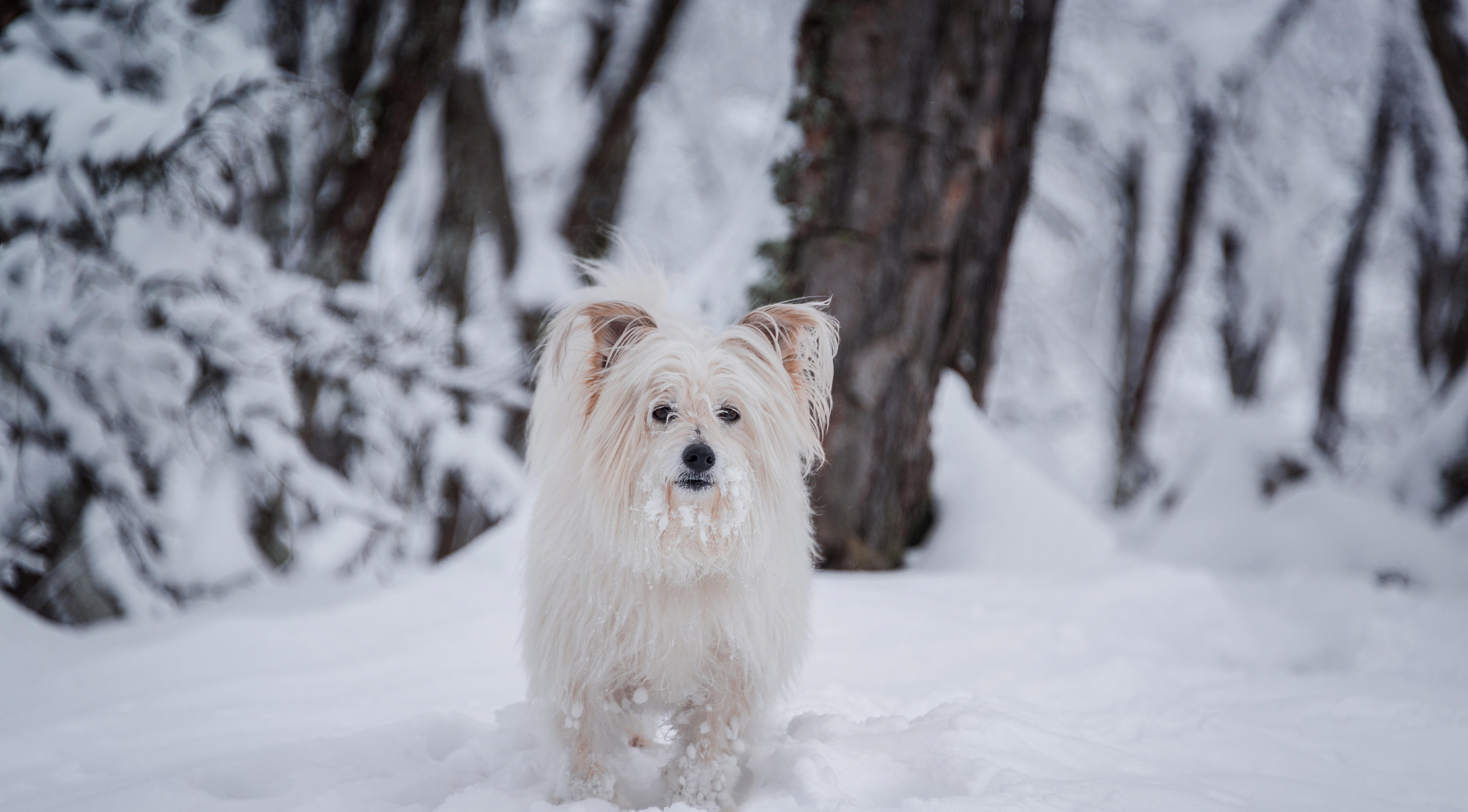 Овны проявят себя, а Ракам нужно быть осторожнее: гороскоп на воскресенье