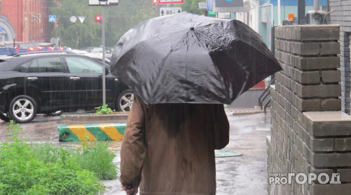 В Кирово-Чепецке объявлено метеопредупреждение из-за гроз и сильного ветра