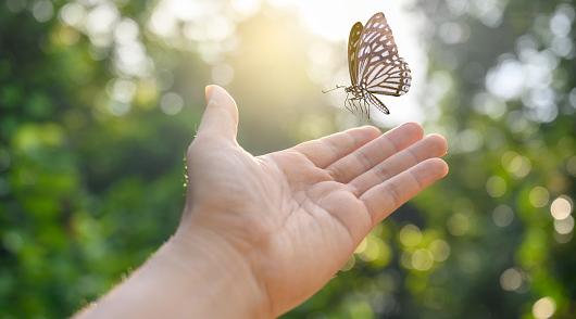 Скорпионы будут полны энергии, а Стрельцы станут объектом критики: гороскоп на среду