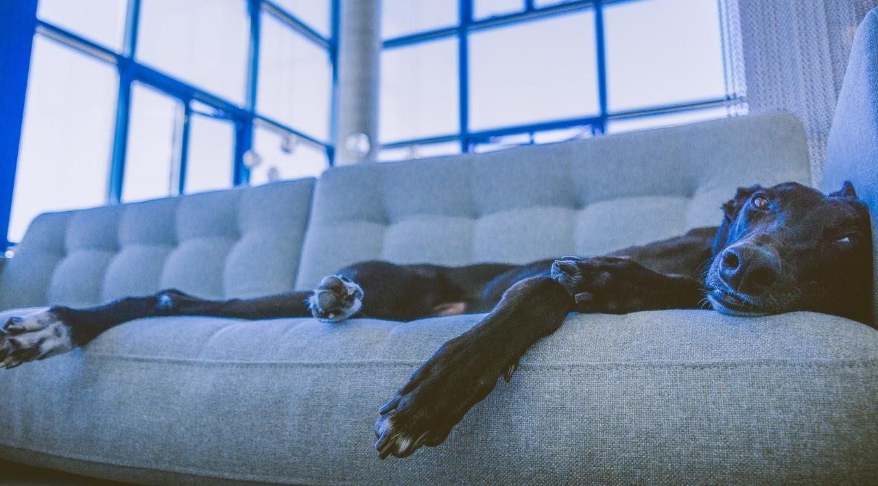 Представителей пяти знаков ждут перемены: гороскоп на неделю