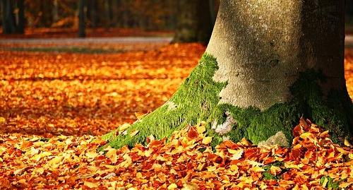 Что обсуждают в Кирово-Чепецке: прогноз погоды на сентябрь и ДТП с пострадавшими