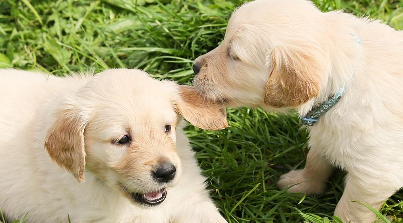 Овны начнут планировать будущее, а Рыбы приобретут ценный опыт: гороскоп на неделю