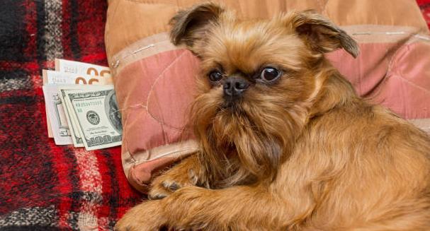 Названы три знака зодиака, которым сложнее всех разбогатеть