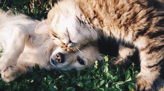 Близнецов ждут яркие эмоции, а Стрельцов – проверка на прочность: гороскоп на выходные