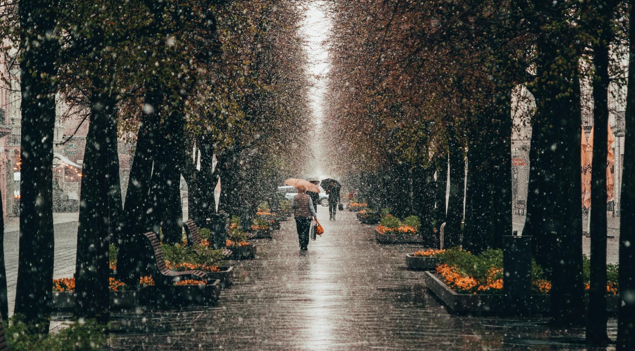 Время общения у Козерогов и финансовая удача Рыб: гороскоп для всех знаков на 4 мая 2021