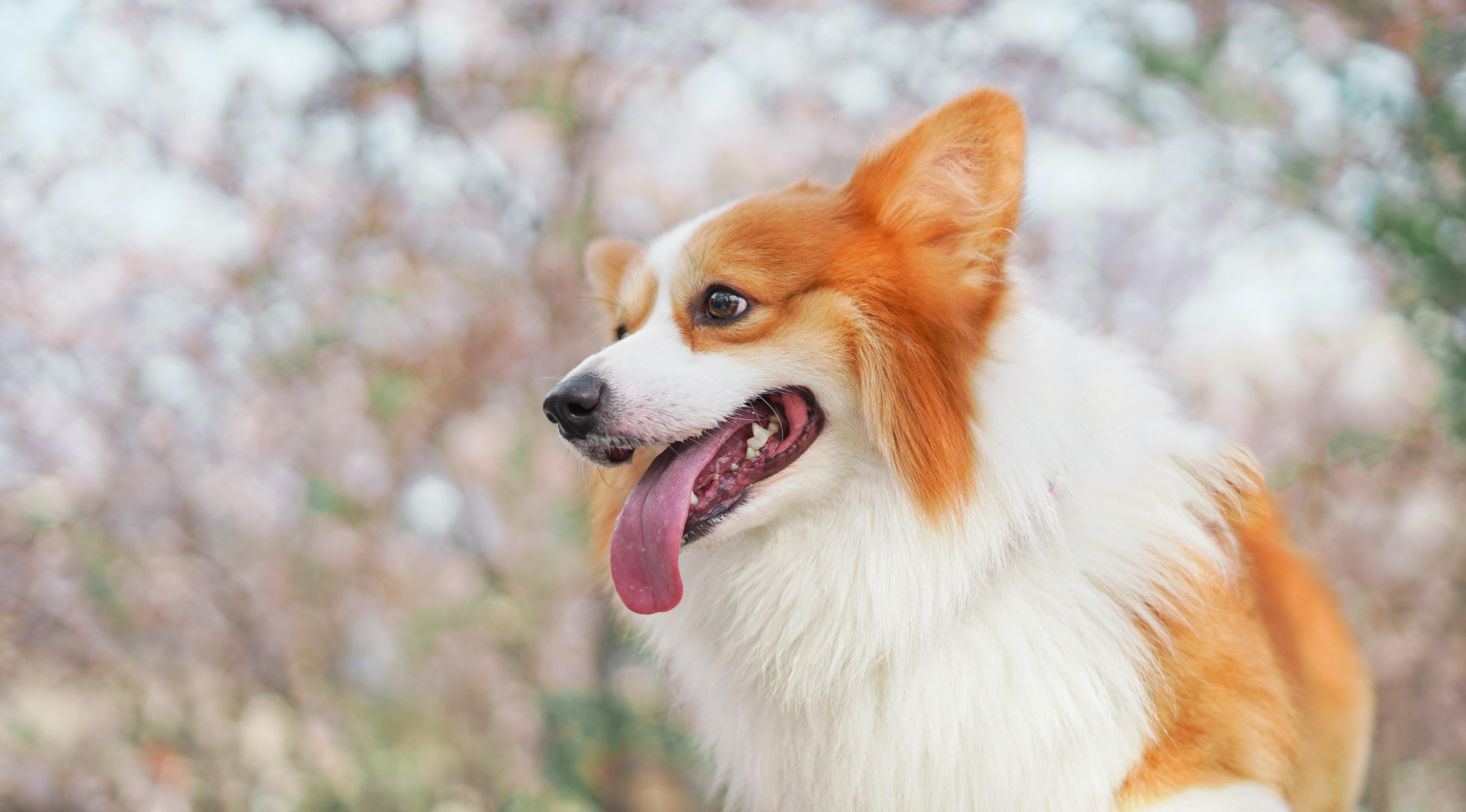 Представителей трех знаков ждет удача в любви: гороскоп на 8 марта