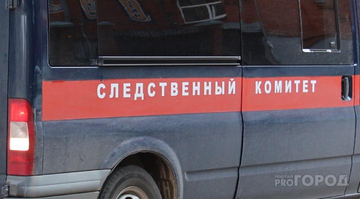 Чепчанка избивала 2-летнюю и 4-летнюю дочерей: возбуждено уголовное дело 