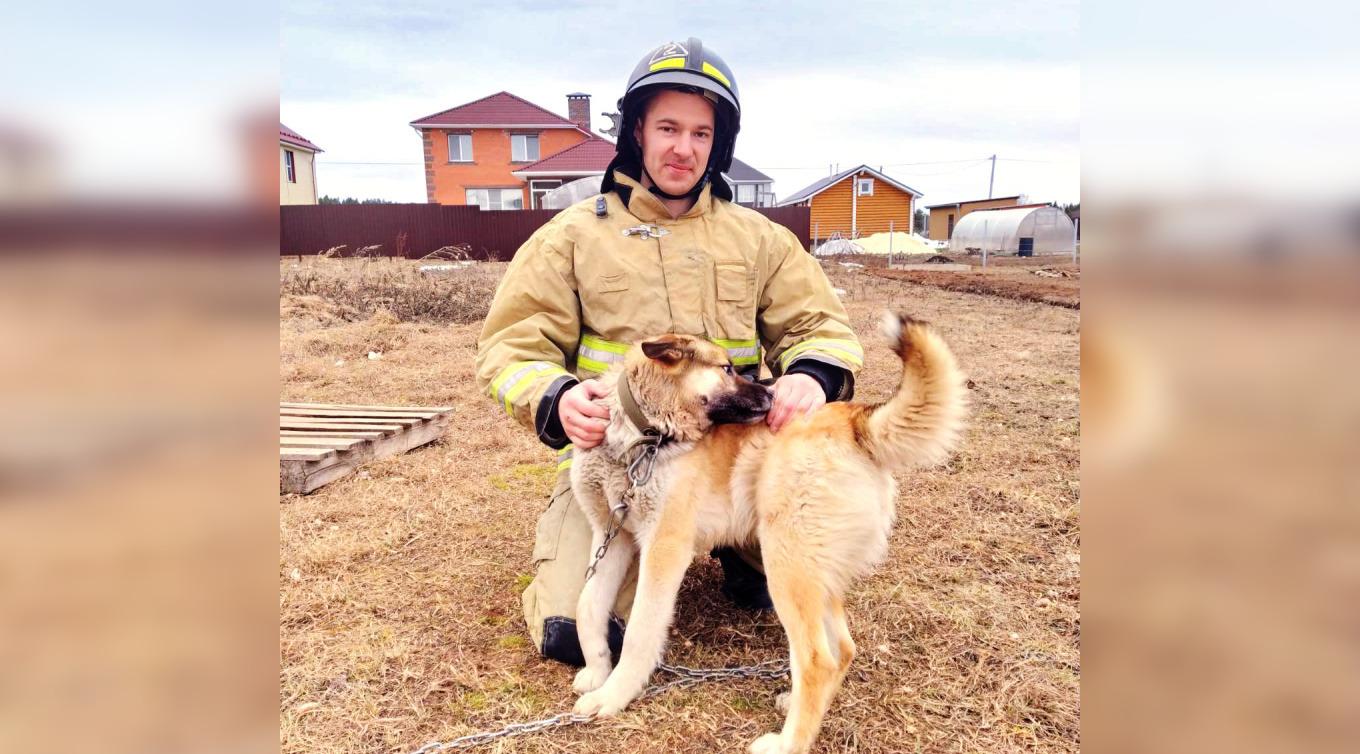 В Кирово-Чепецком районе благодаря собаке удалось обнаружить пожар
