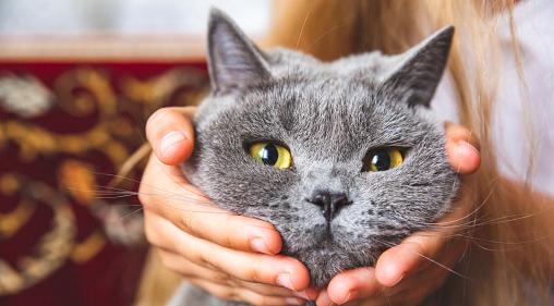 Овнов ждет буря эмоций, а Козерогов – чувство одиночества: гороскоп на четверг 