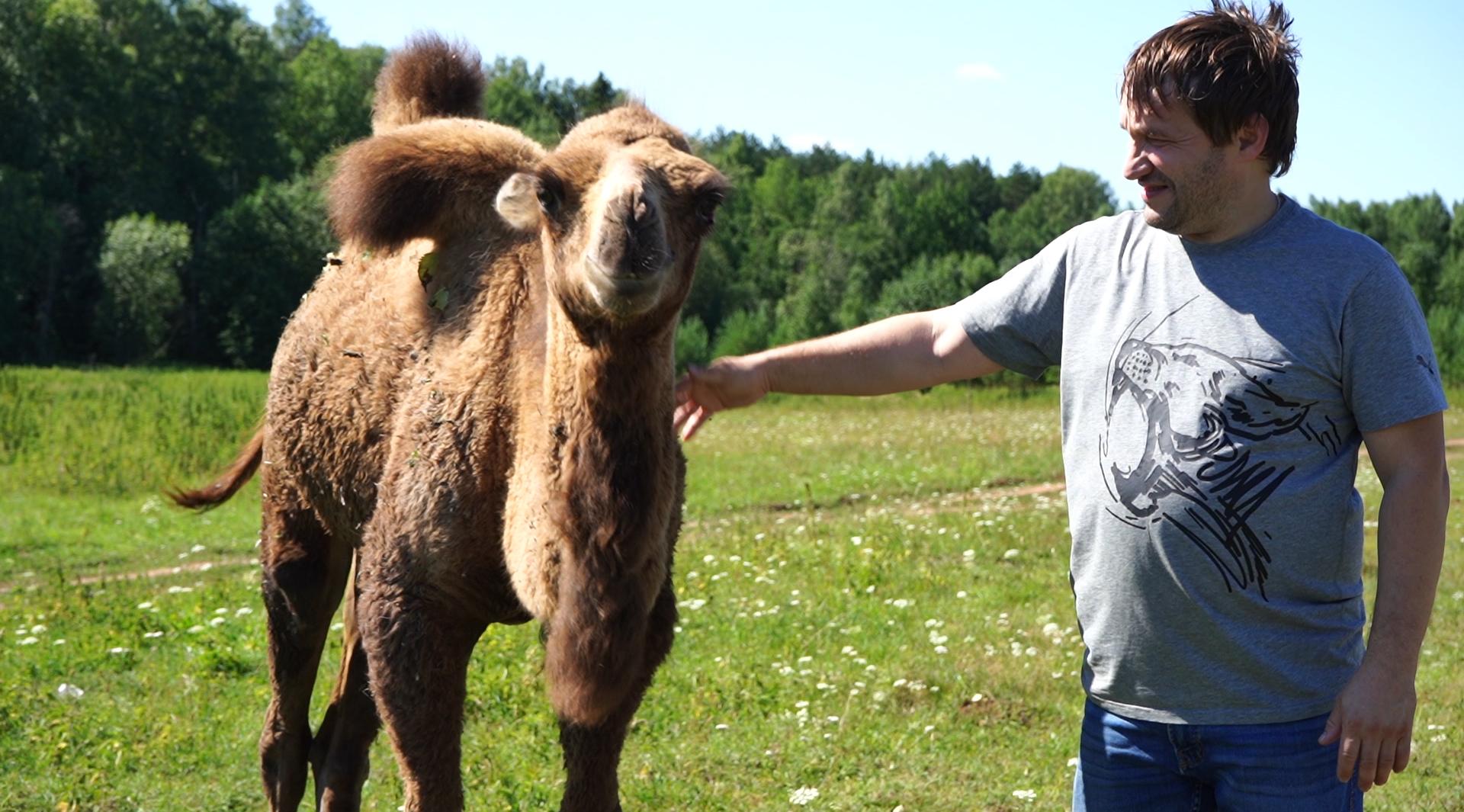 «На корм животным уходит 100 тысяч в месяц»: чепчанин Андрей Гопкало о домашнем зоопарке
