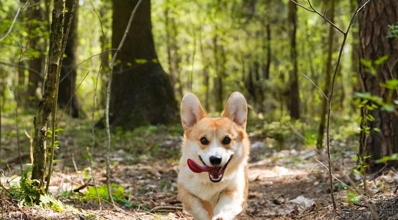 Скорпионы расширят круг общения, а Близнецы увлекутся религией: гороскоп на воскресенье