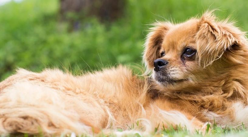 Водолеи будут убегать от проблем, а Тельцы укрепят иммунитет: гороскоп на неделю