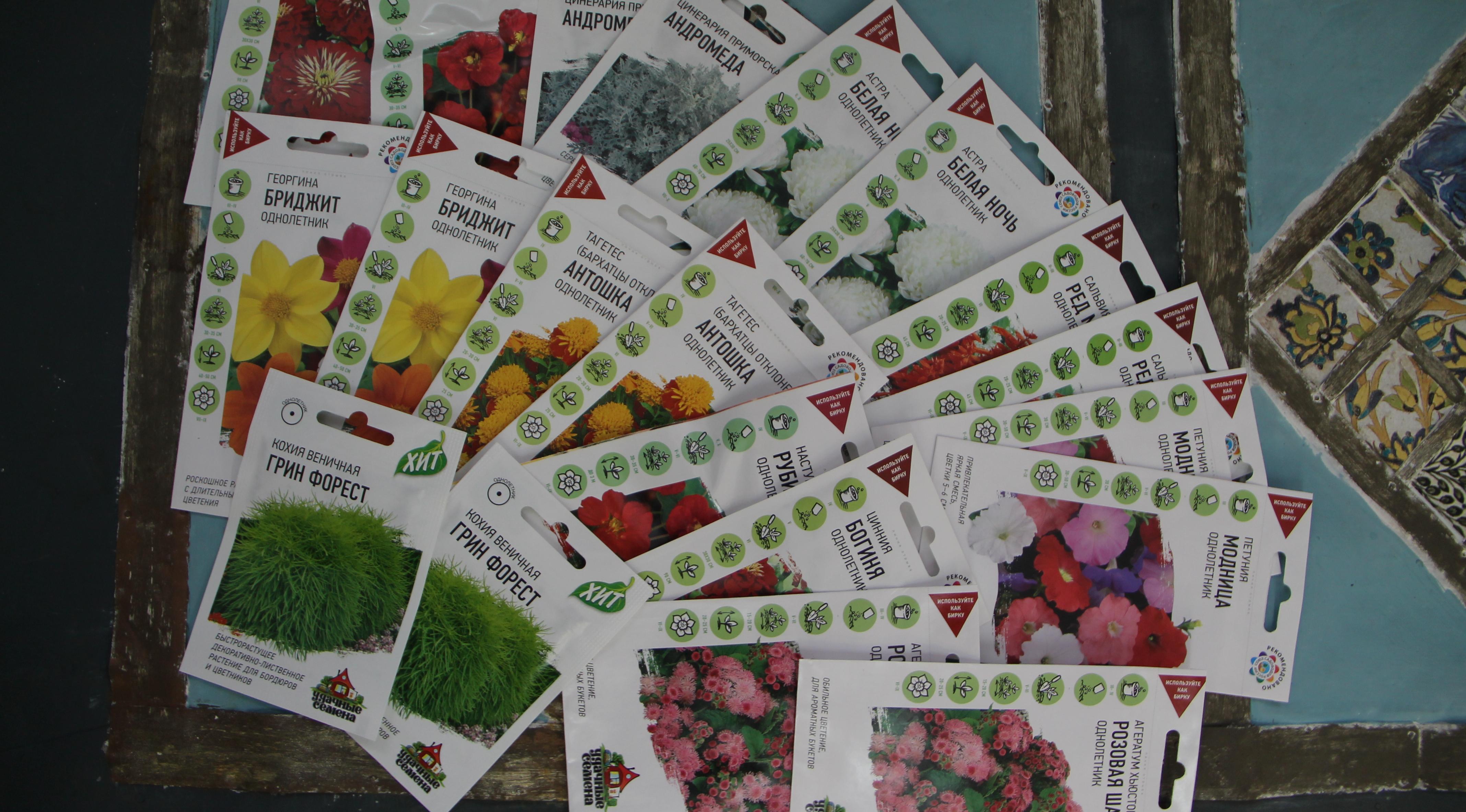 Кирово-Чепецк присоединился к акции «Украсим Родину цветами»