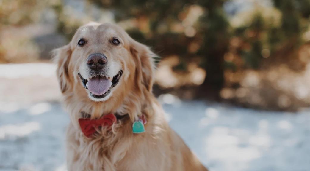 Астрологи рассказали, кого ждет прибыль в июне 2021 года