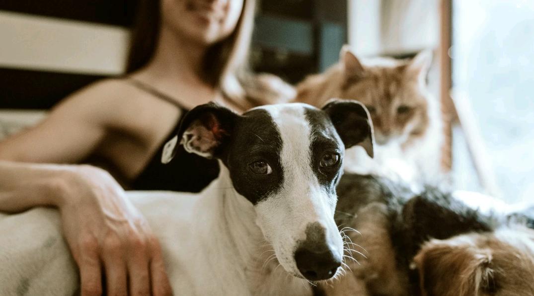 Раков ждут трудности, а Львам стоит быть осторожнее: гороскоп на пятницу