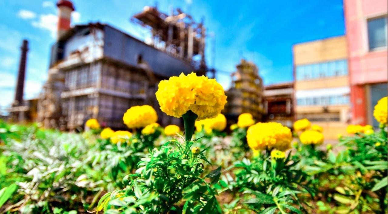 В Кирово-Чепецке стартовал новый сезон городского чемпионата «УРАЛХИМиЯ»