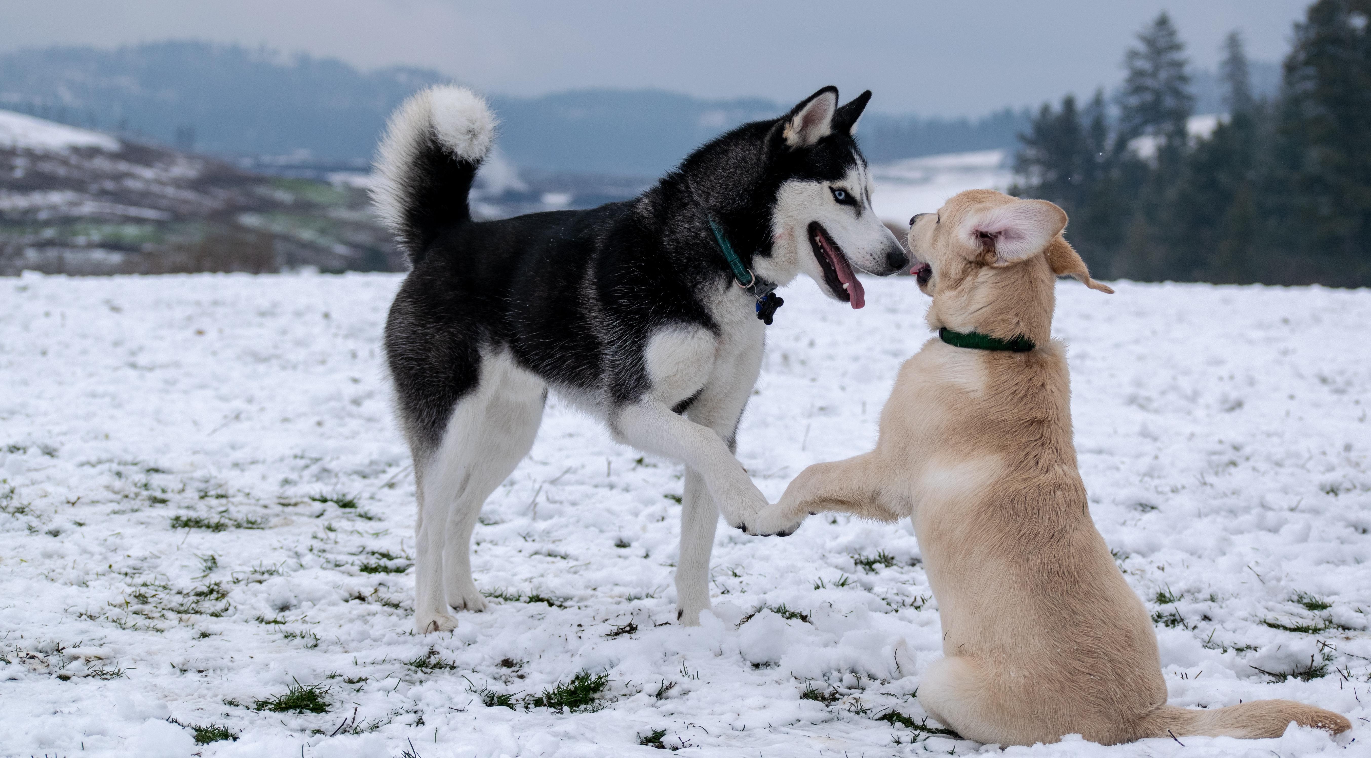Скорпионы совершат ошибку, а Львам пора заняться собой: гороскоп на неделю