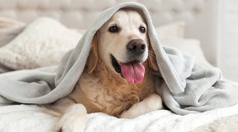 Водолеев ждут творческие порывы, а Львы изменят имидж: гороскоп на неделю