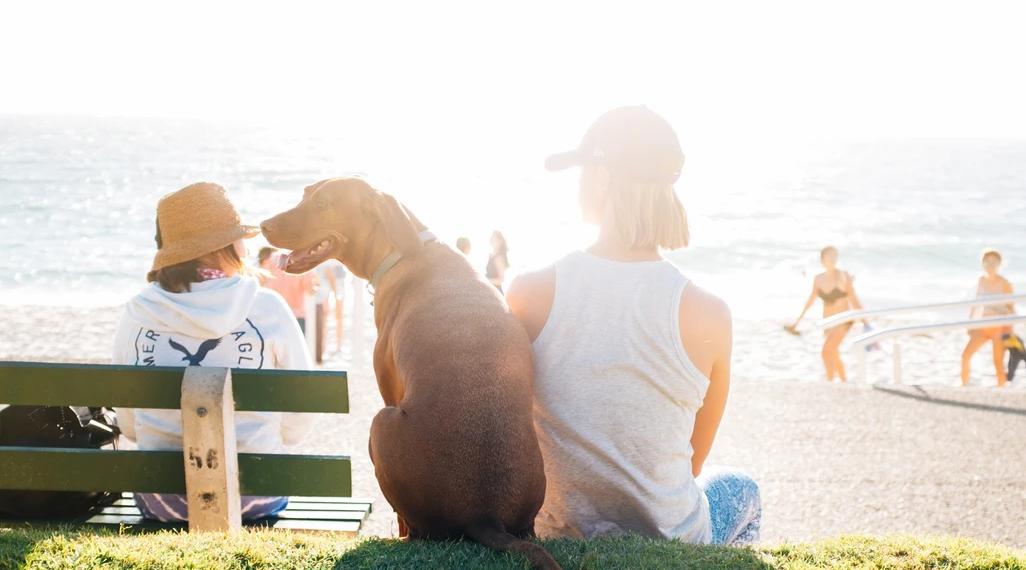 Близнецов ждет любовь, а у Весов начнется новая жизнь: гороскоп на неделю