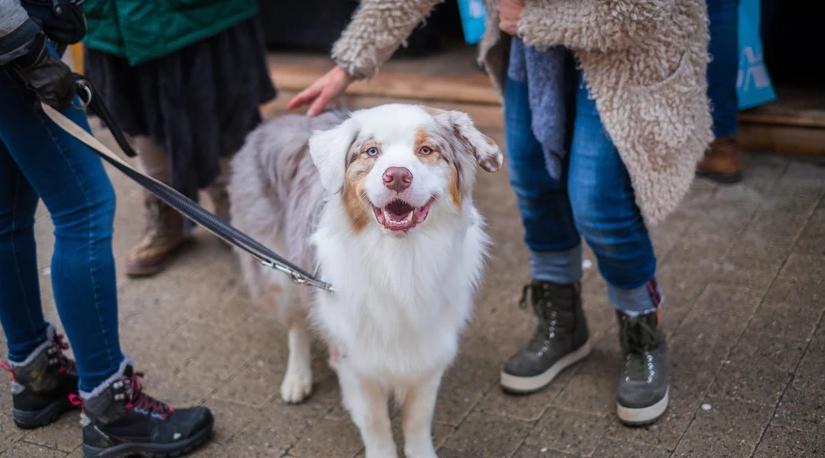 Стрельцам придется защищать свои интересы, а Рыб ждет прибыль: гороскоп на неделю