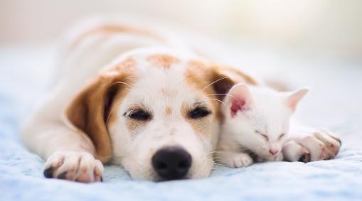 Стрельцы засидятся на месте, а Раки будут раздражительны: гороскоп на среду