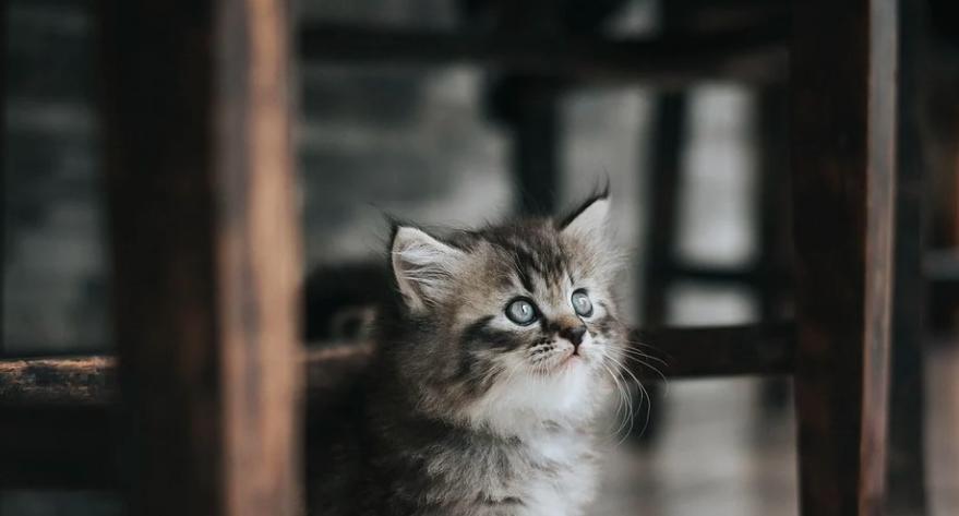 Скорпионов ждут сюрпризы, а Тельцов гармония в отношениях: гороскоп на воскресенье