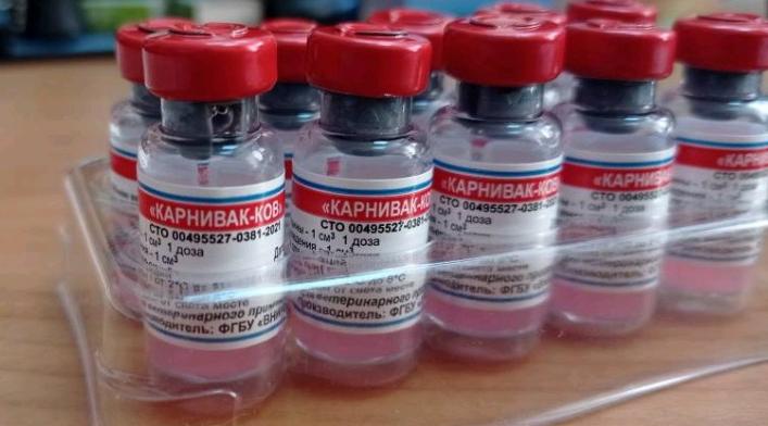 В Кировской области животных начали вакцинировать от коронавируса 