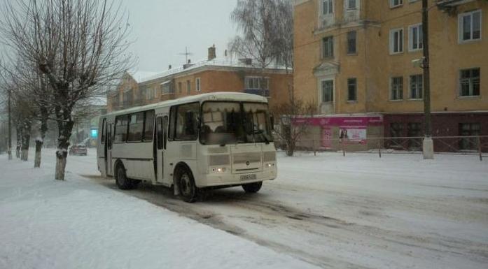Кондукторам Кировской области запретили высаживать детей-безбилетников