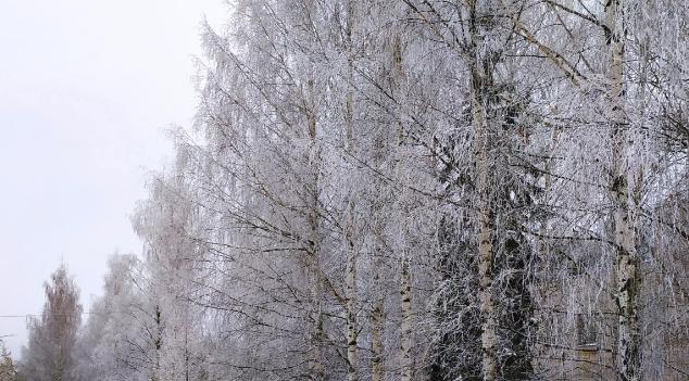 В Кирово-Чепецке ожидается похолодание: до -32 градусов