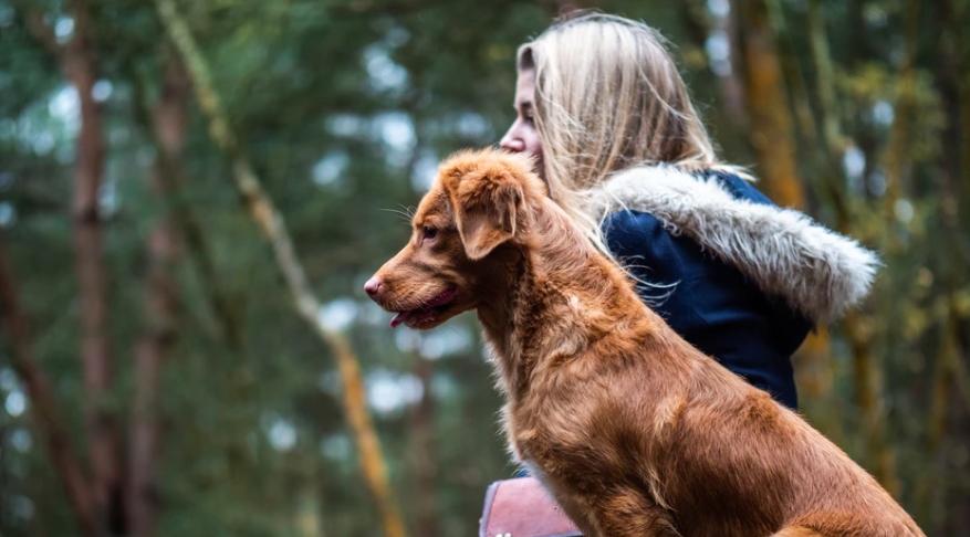 У Овнов тяжелый день, а Раки могут перегореть: гороскоп на четверг