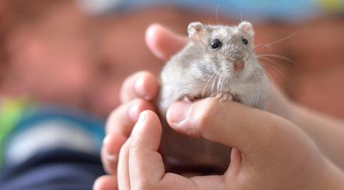 Тельцы получат много внимания, а Весы столкнутся с противоречиями: гороскоп на пятницу