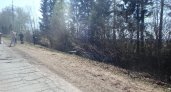 В Чепецком районе водитель съехал с дороги и врезался в дерево