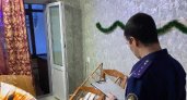 Чепчанка отправится в колонию за новогоднее убийство 10-месячной дочери