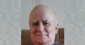Волонтеры объявили о поисках 73-летнего жителя Кирово-Чепецка